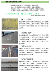 �����f�f�񍐏�-6
