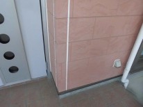 �菇
