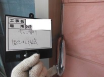 1.�T�b�V��苌�V�[���P��